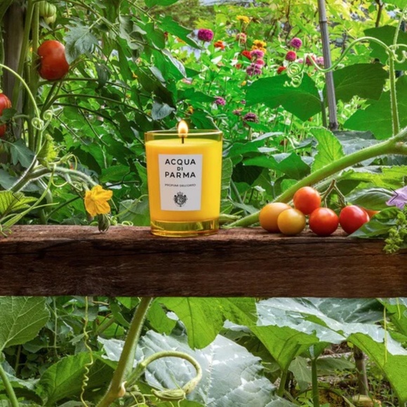 Acqua Di Parma Profumi Dell'Orto Vegetable Garden Scented Candle 200g 7.05oz - Picture 10 of 10